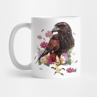 Parabuteo unicinctus Mug